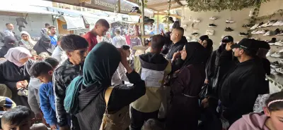 Distribution Gaza